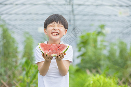 吃西瓜的男孩男孩在农场开心吃西瓜背景