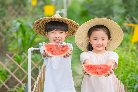 男孩和女孩在农场吃西瓜图片