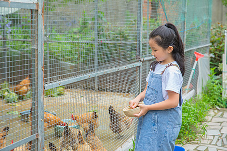 小男孩和小女孩农场喂动物图片