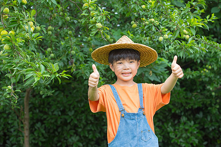 小男孩在果树面前点赞图片