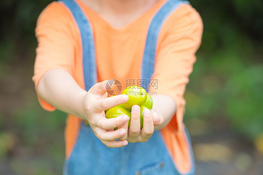 小男孩手捧水果特写图片