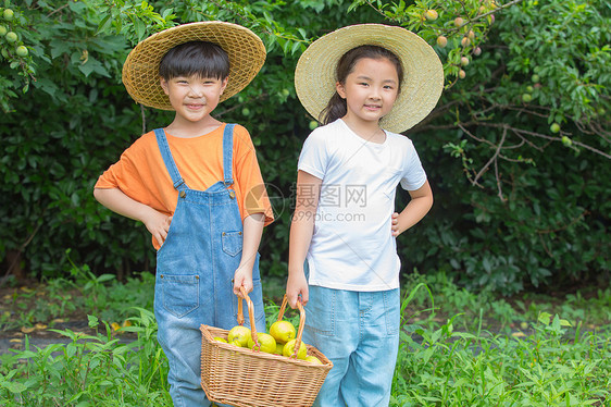 男孩女孩在农场摘满满一篮水果图片