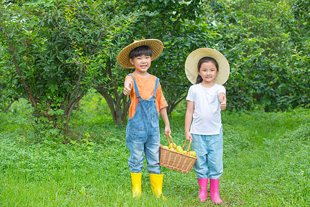 男孩女孩在农场摘水果图片