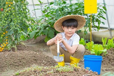 男孩在蔬菜大棚里面用铲子挖土图片