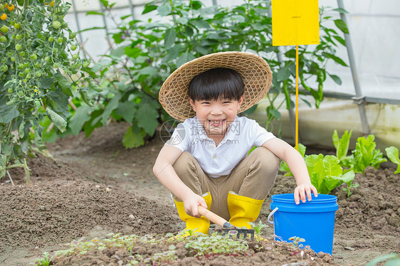 男孩在蔬菜大棚里面用铲子挖土图片