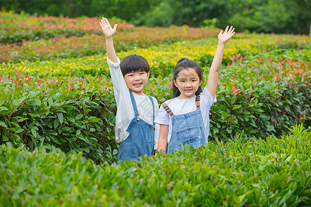 小男孩小女孩质朴儿童在树林间形象展示背景