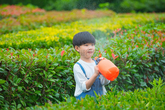 小男孩在植物从间使用喷水壶给植物浇水图片