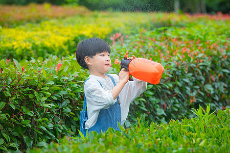 小男孩在植物从间使用喷水壶给植物浇水图片