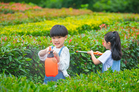 小男孩小女孩在植物从间照料植物图片