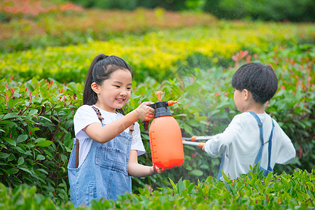 小男孩小女孩在植物从间照料植物图片