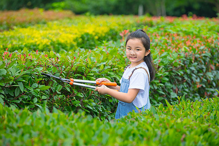 小女孩拿着大剪刀给植物修剪枝叶图片