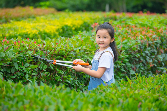 小女孩拿着大剪刀给植物修剪枝叶图片