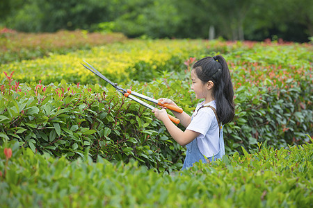 小女孩拿着大剪刀给植物修剪枝叶图片