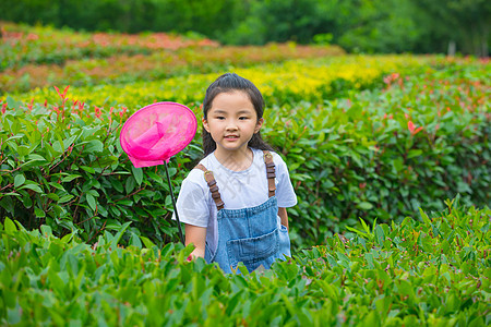 小女孩户外捕虫玩耍图片