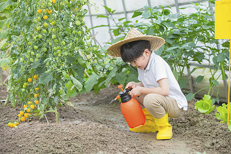 小男孩开心的在蔬菜大棚拿着喷水壶喷水图片