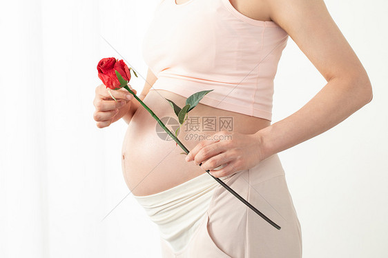 孕妇手拿玫瑰花图片
