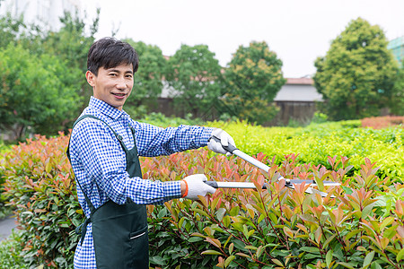 农夫工人修剪农场植物枝叶图片