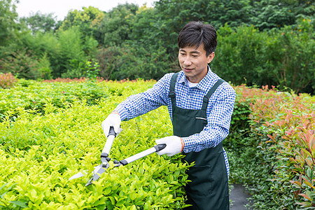 农夫工人修剪农场植物枝叶图片