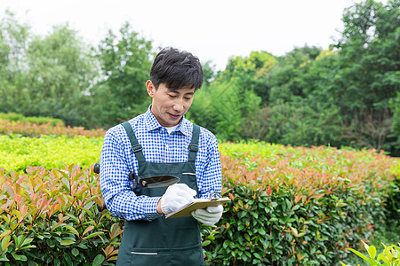 农场园丁记录植物生长状态图片