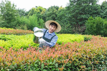 农场园丁提水桶为植物浇水图片