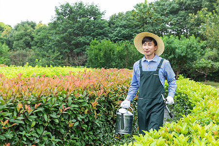 农场园丁工人修剪植物图片