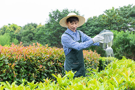 农场园丁提水桶为植物浇水图片