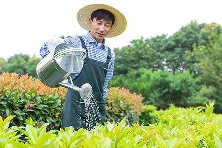 农场园丁提水桶为植物浇水图片