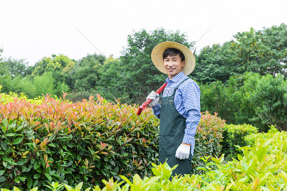 农场园丁修剪园艺植物图片