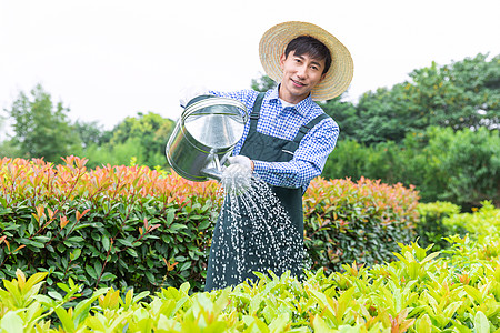 农场园丁提水桶为植物浇水图片