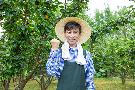 果园果农加油形象图片