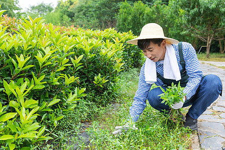 农夫在农场里摘杂草图片