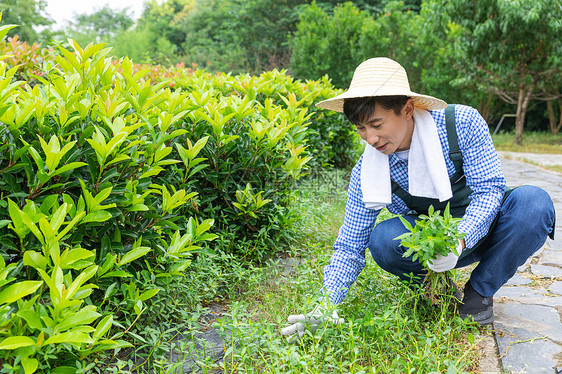 农夫在农场里摘杂草图片