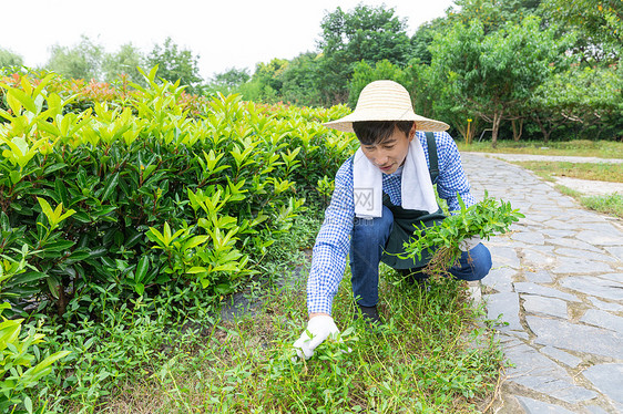 农夫在农场里摘杂草图片