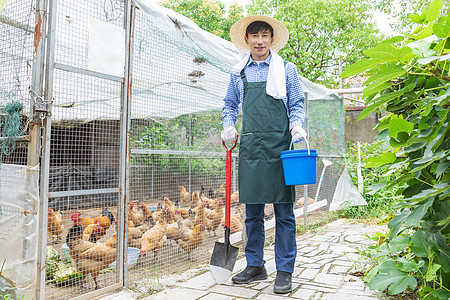 乡村农民养殖家禽喂鸡图片