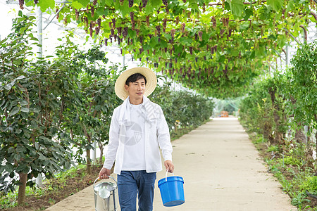 小水桶水果种植园里的果农手拎水桶背景