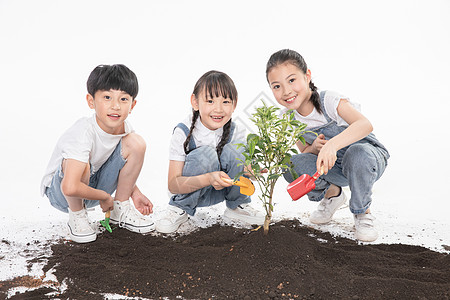 儿童一起植树图片