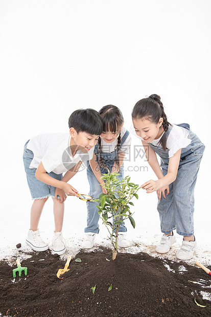 儿童一起植树图片