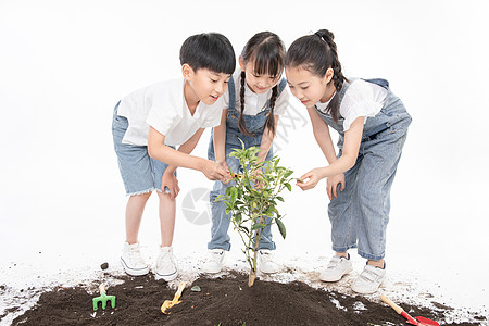 在植树的男孩儿童一起植树背景