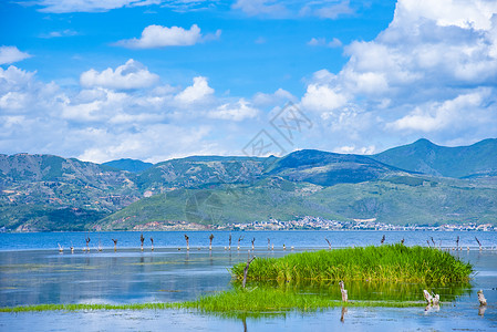 云南风光云南大理洱海自然风光背景