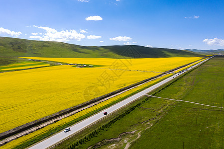 油菜花田旁道路图片