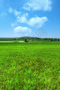 内蒙古夏季草原牧场景观图片