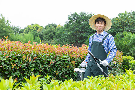 农夫工人修剪农场植物枝叶高清图片