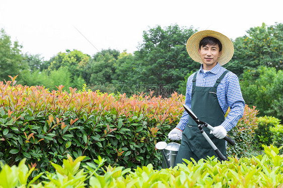 农夫工人修剪农场植物枝叶图片