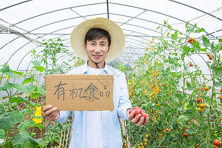 农夫蔬菜大棚直销蔬菜图片