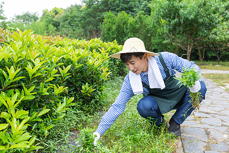 农夫修剪农家院杂草图片