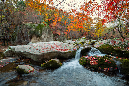 小溪流水秋天唯美风光背景