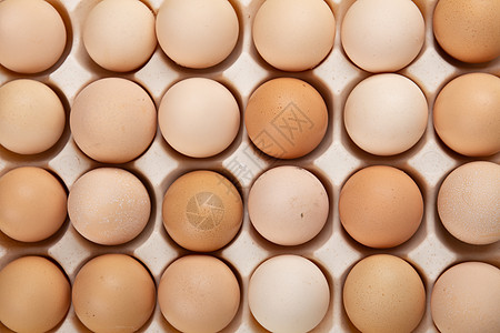 俯拍摆放整齐的新鲜鸡蛋图片