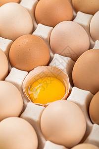 草花焗鸡竖版拍摄鸡蛋卵背景