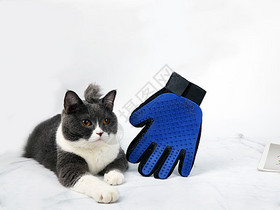 宠物手套撸猫手套图片