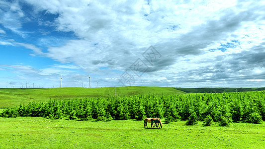 内蒙古葛根塔拉夏季草原景观图片